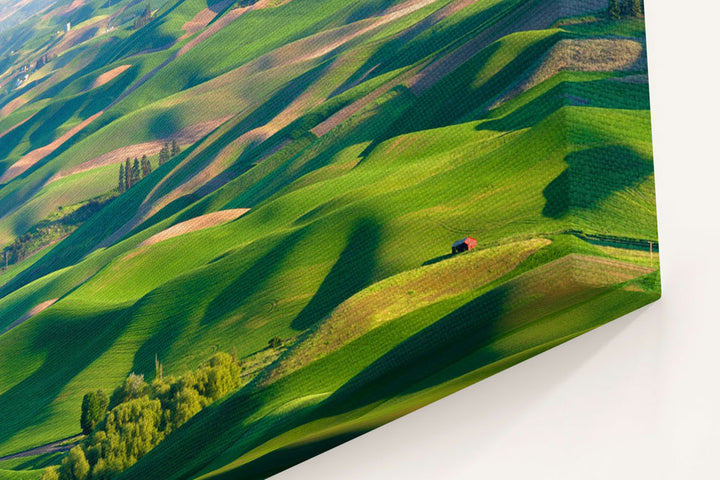 The Palouse, Steptoe Butte State Park, Washington