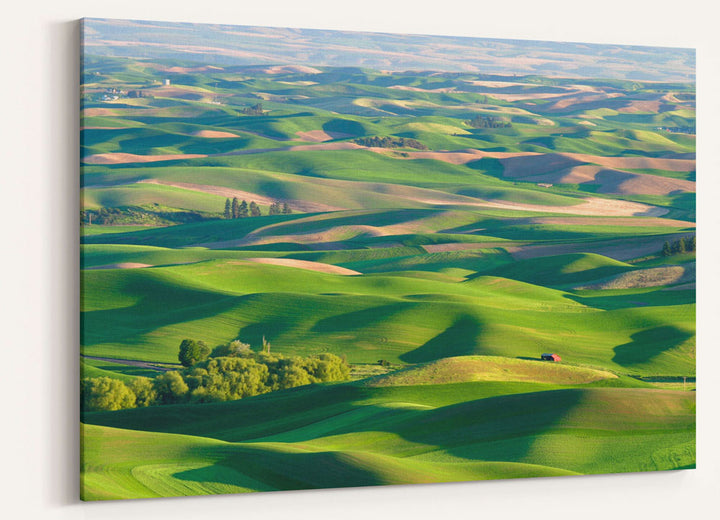 The Palouse, Steptoe Butte State Park, Washington