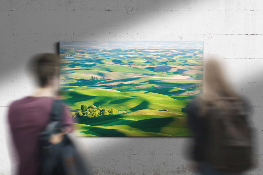 The Palouse, Steptoe Butte State Park, Washington