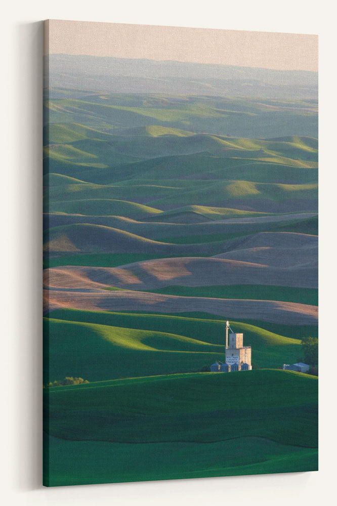 Palouse Hills, Steptoe Butte State Park, Washington