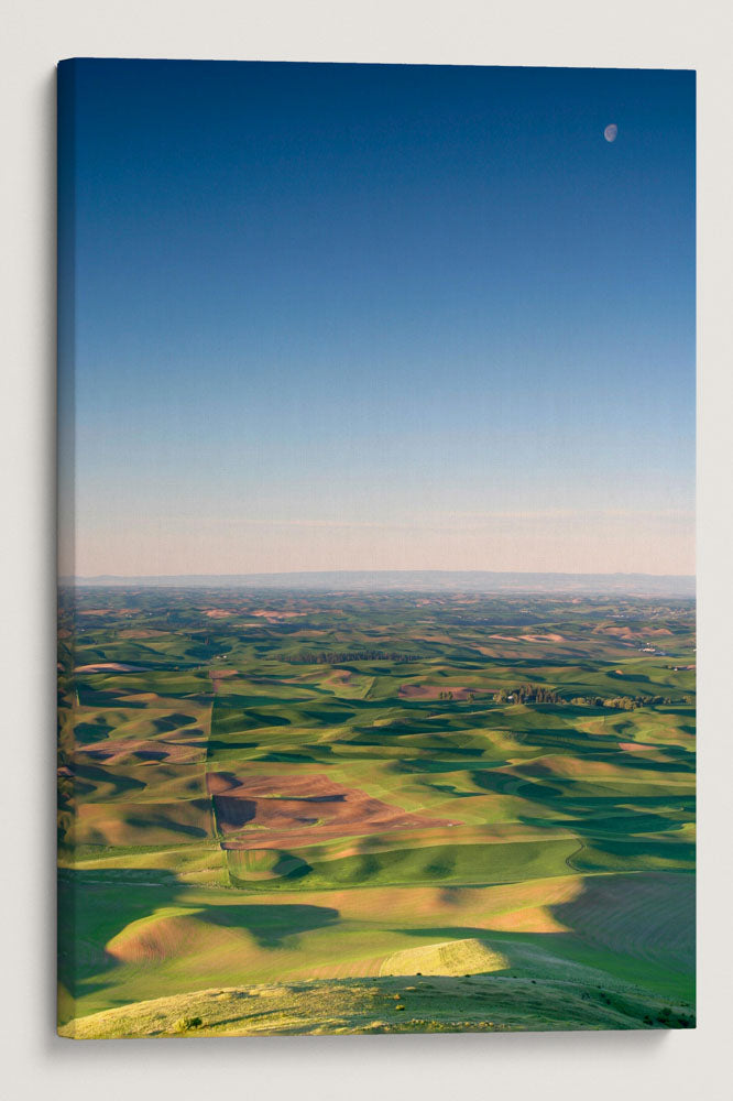 The Palouse, Steptoe Butte State Park, Washington, USA