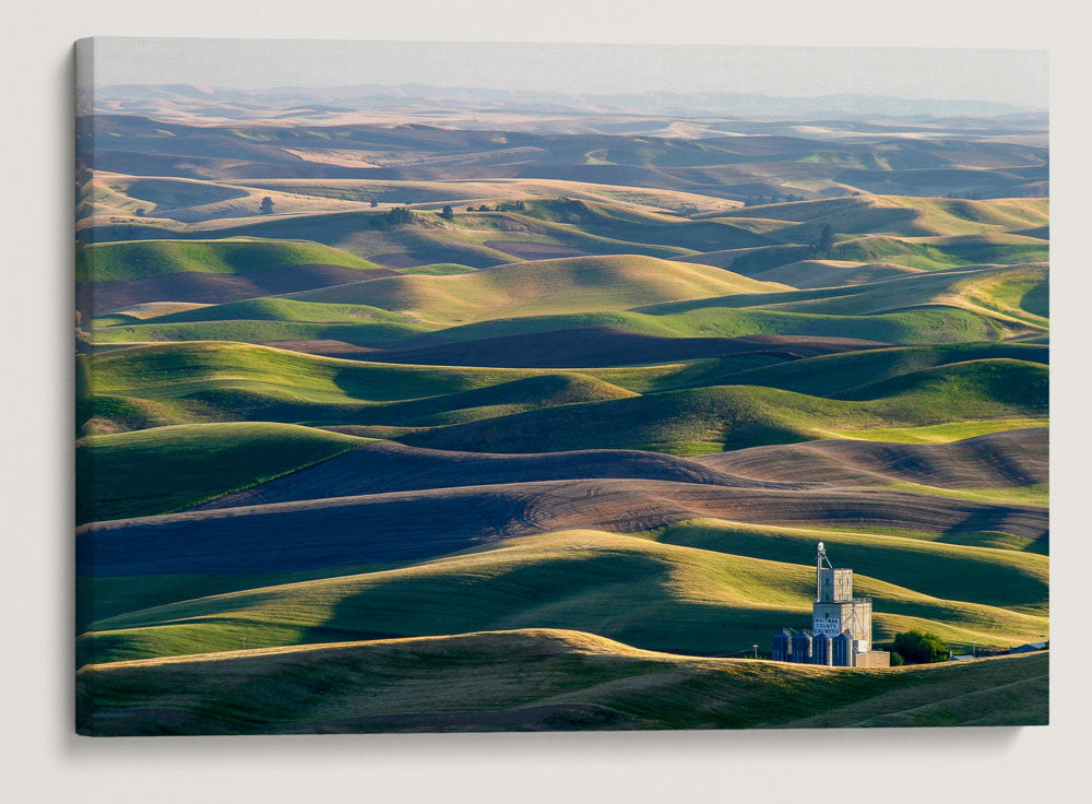 Palouse Hills, Steptoe Butte State Park, Washington