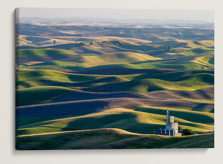 Palouse Hills, Steptoe Butte State Park, Washington