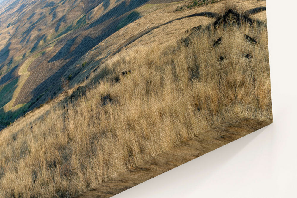 Palouse hills in fall, Steptoe Butte State Park, Washington