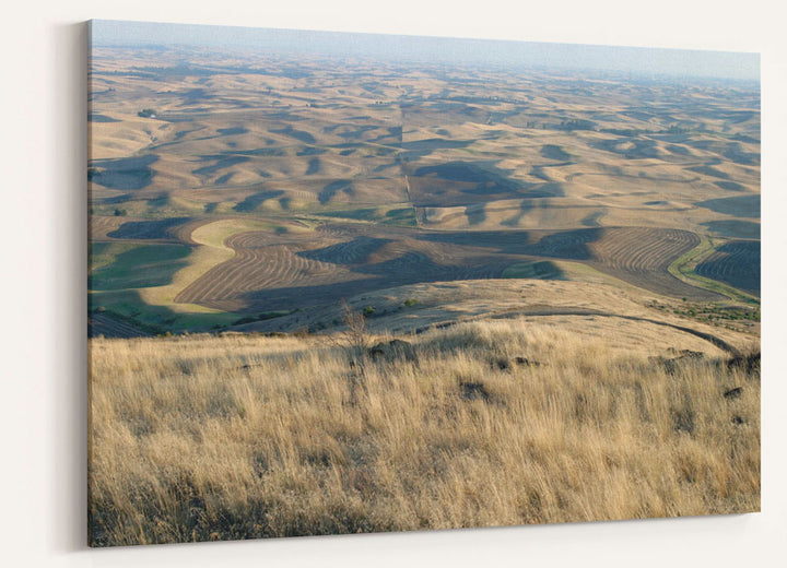 Palouse hills in fall, Steptoe Butte State Park, Washington