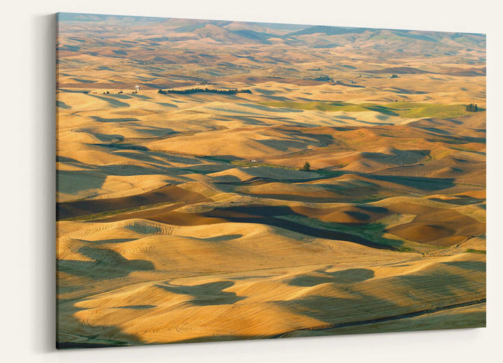 Fall-colored Palouse Hills, Steptoe Butte State Park, Washington