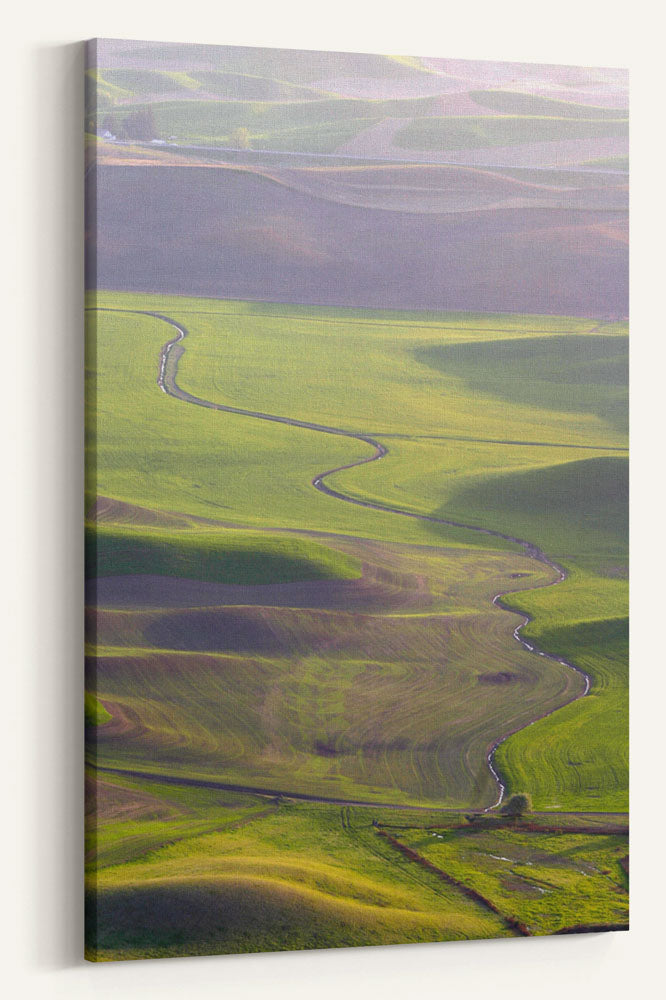 Palouse Hills and Stream, Steptoe Butte State Park, Washington