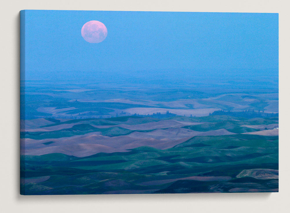 Moonset During Morning Twilight, Palouse hills prairie, Steptoe Butte State Park, Washington