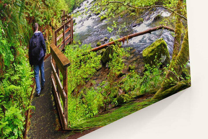 Sweet Creek Trail and Hiker, Oregon Coast Range, Oregon