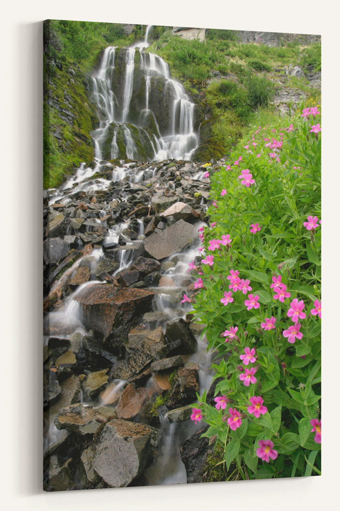 Vidae Falls and Pink Monkeyflowers, Crater Lake National Park, Oregon