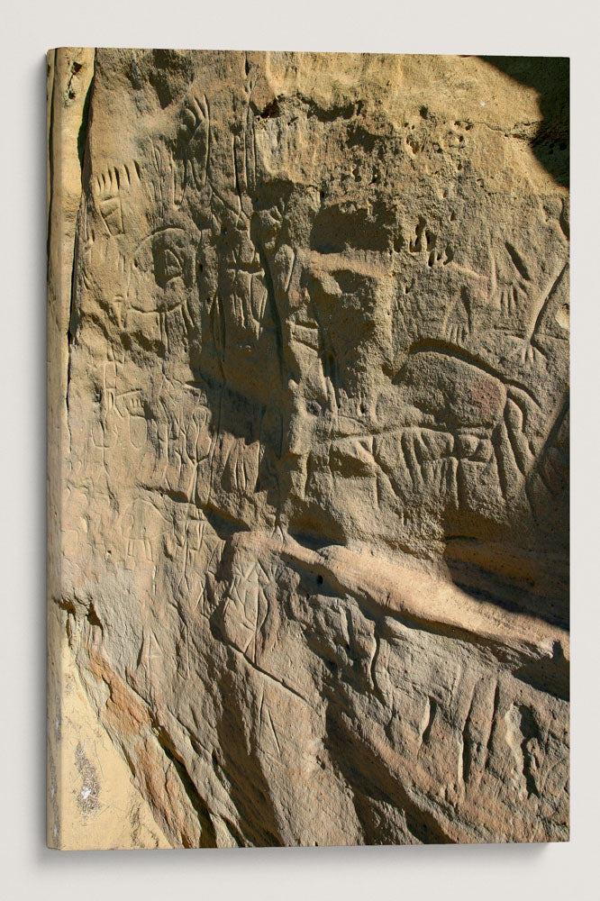 Native American Petroglyphs, White Mountain, Wyoming