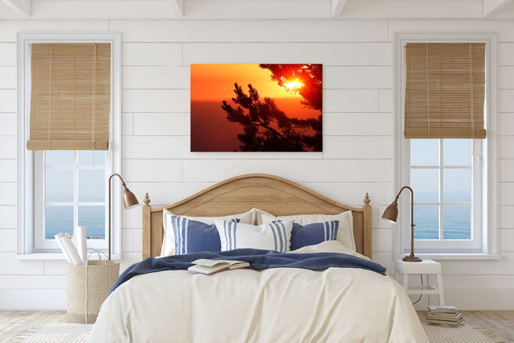 Whitebark Pine at Sunrise, Crater Lake National Park, Oregon