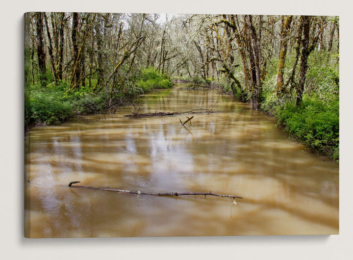 Muddy Creek, William L. Finley National Wildlife Refuge, Oregon