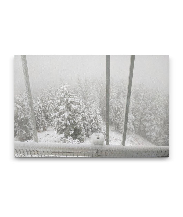 Early Winter Snow From Carpenter Mountain Fire Lookout, HJ Andrews Forest, Oregon, USA