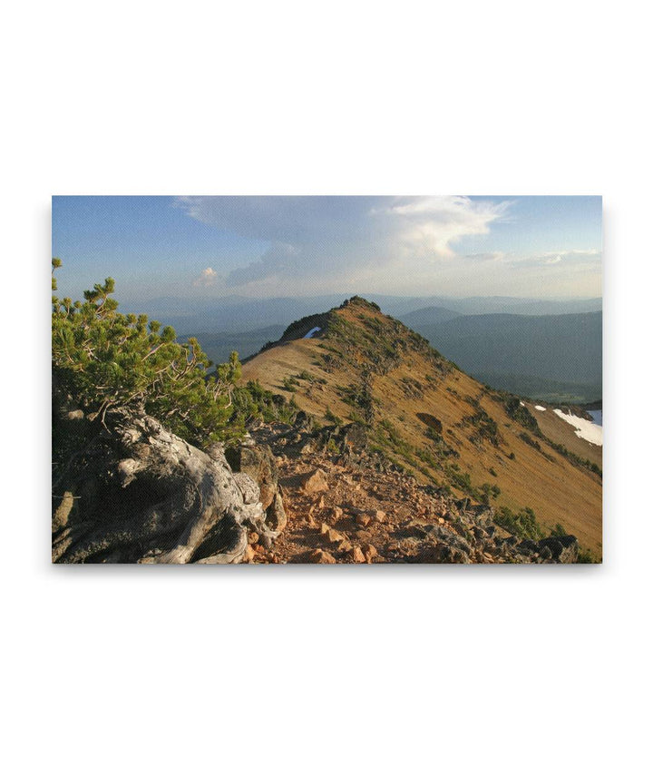 Mount Scott ridgeline and Whitebark pine, Crater Lake National Park, Oregon