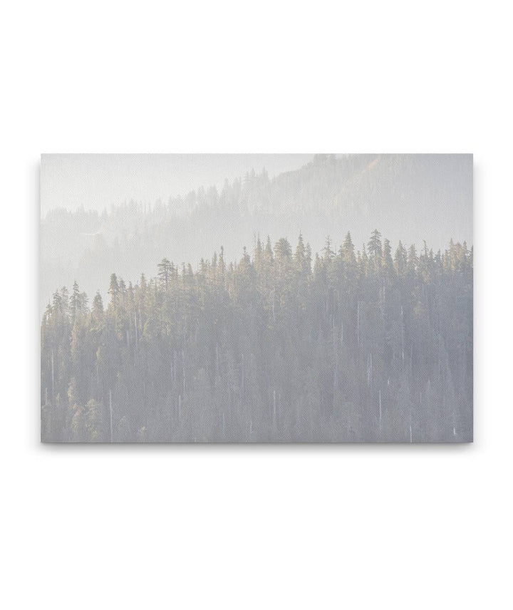 Heavy Wildfire Smoke, Willamette National Forest, Oregon