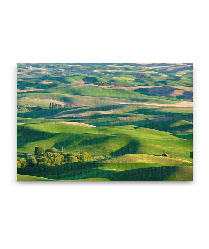 The Palouse, Steptoe Butte State Park, Washington