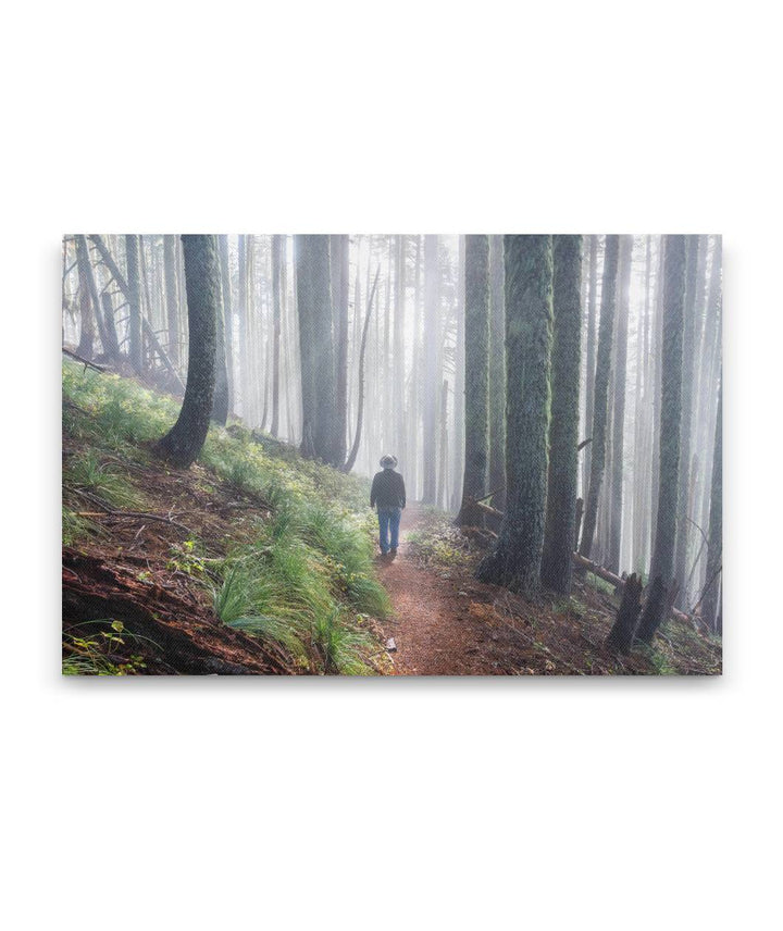 Carpenter Mountain Trail, HJ Andrews Forest, Oregon, USA