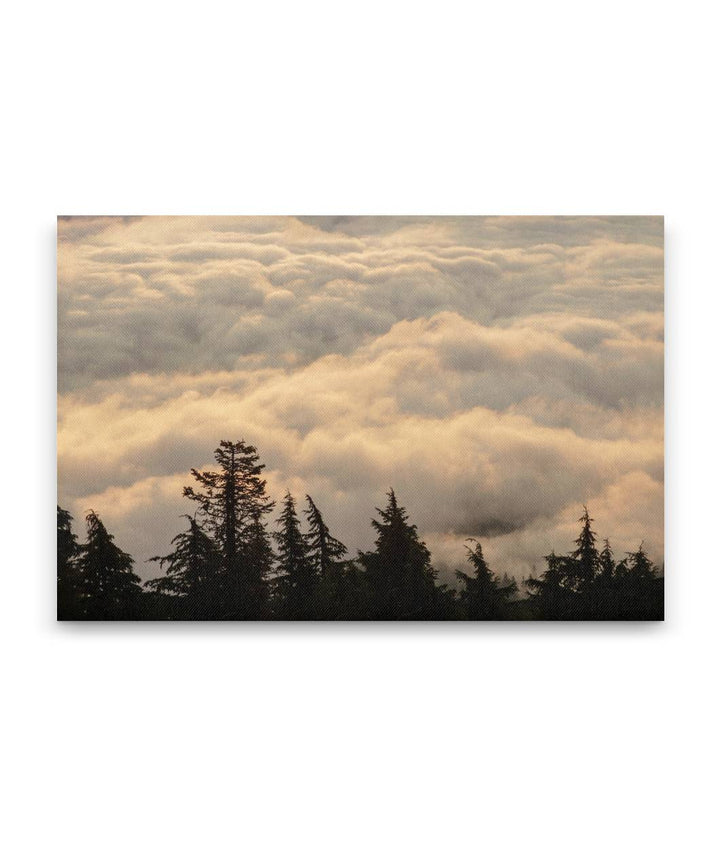 Clouds Over Cascades Mountains, Willamette National Forest, Oregon, USA