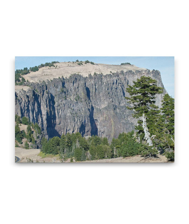 Llao Rock volcanic flow and Whitebark pine, Crater Lake National Park, Oregon