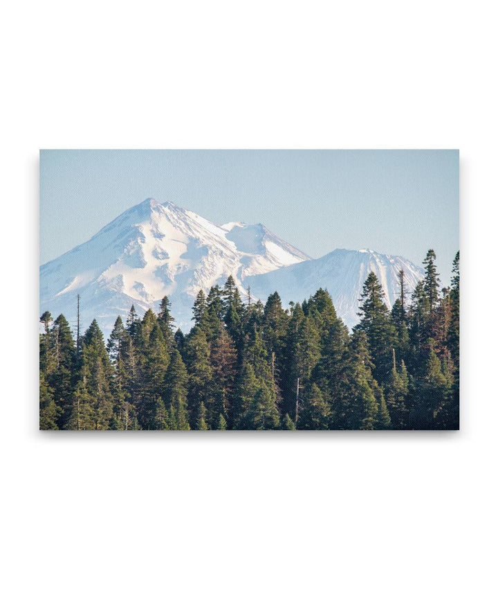 Mount Shasta From Hobart Bluff, Cascade-Siskiyou National Monument, Oregon