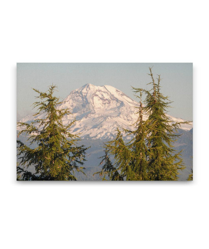 Mountain hemlocks and Mount Jefferson, Willamette National Forest, Oregon