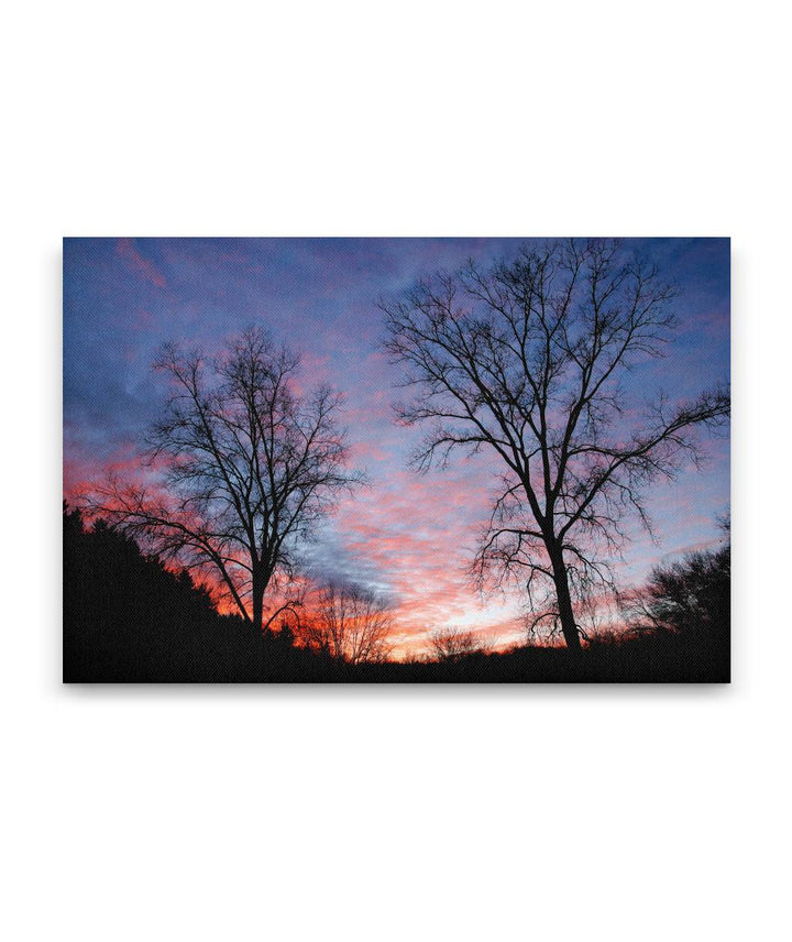 Tree Silhouettes At Sunset, Governor Dodge State Park, Wisconsin