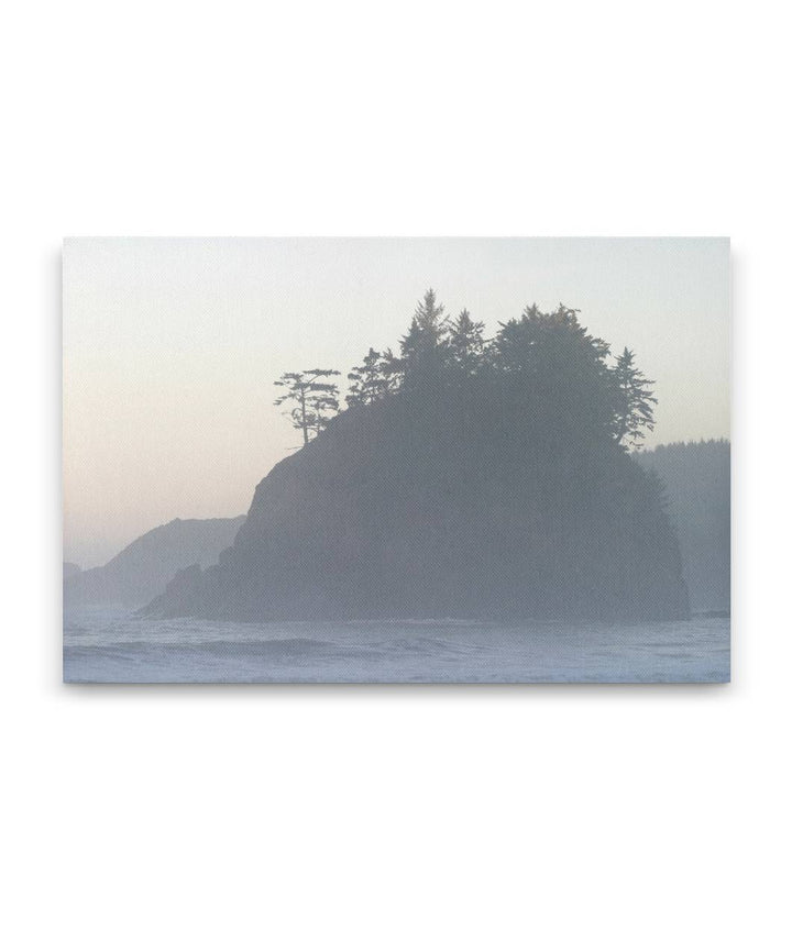 Pewetole Island at coastal fog at sunrise, Trinidad, California