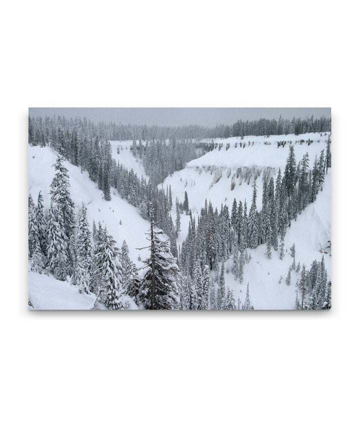 Annie Creek Canyon winter snow covered forested, Crater Lake National Park, Oregon