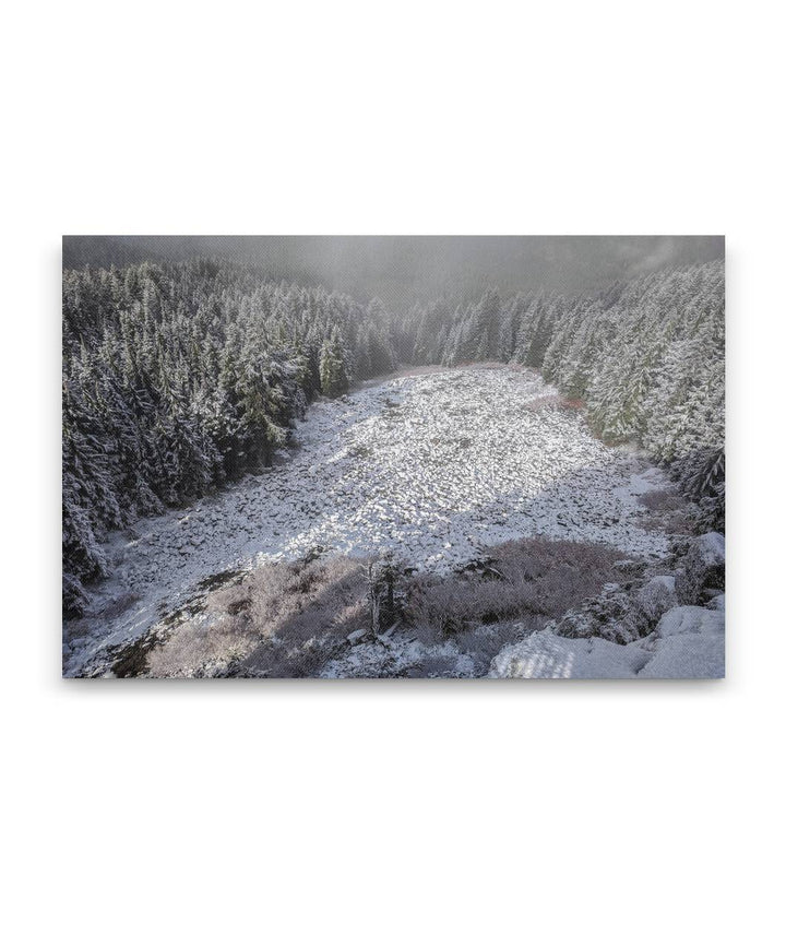 Talus Slope, From Carpenter Mountain Fire Lookout, HJ Andrews Forest, Oregon, USA