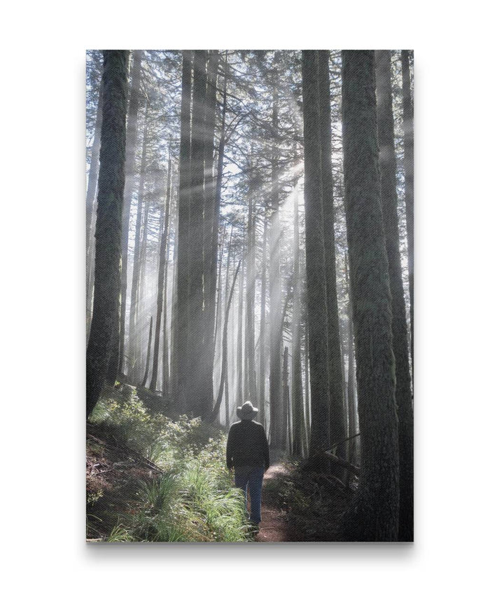 Hiker and Sun Rays, Carpenter Mountain, HJ Andrews Forest, Oregon