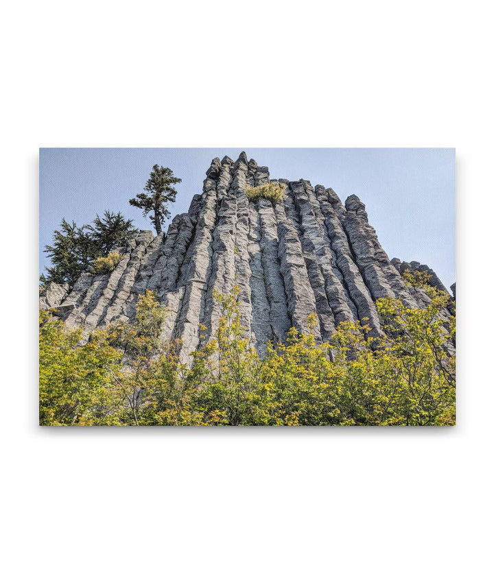 Basalt Rock Pillar & Vine Maples, Carpenter Mountain, HJ Andrews Forest, Oregon