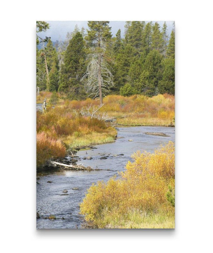 Crescent Creek Fall Colors, Deschutes National Forest, Oregon