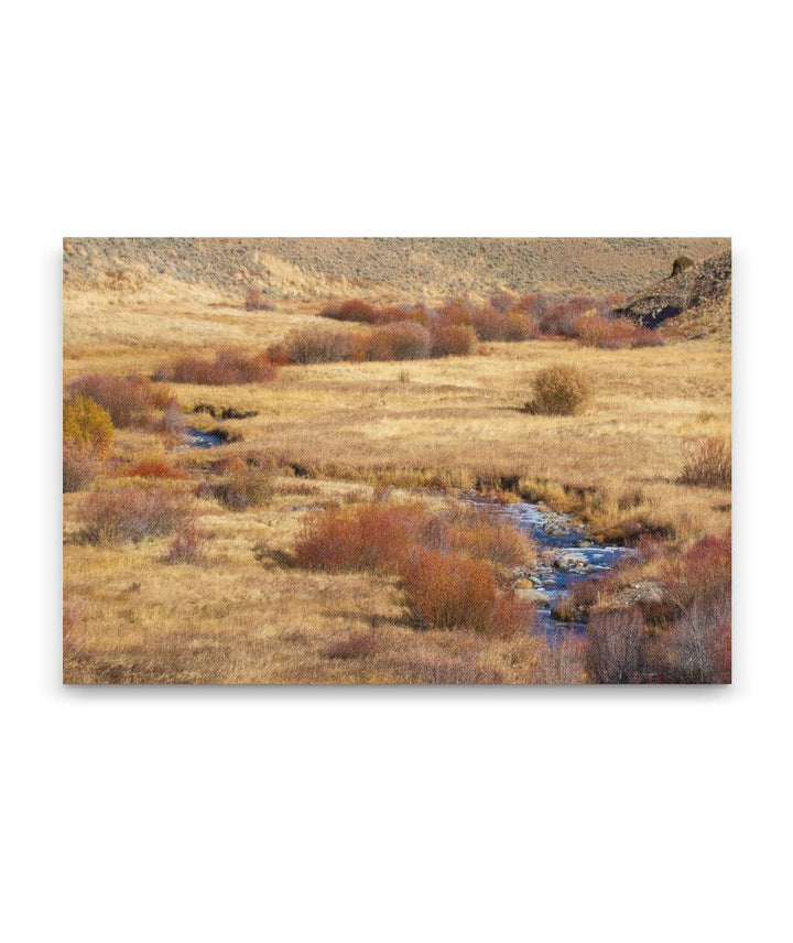 Blacktail Creek in Autumn, Yellowstone National Park, Wyoming, USA