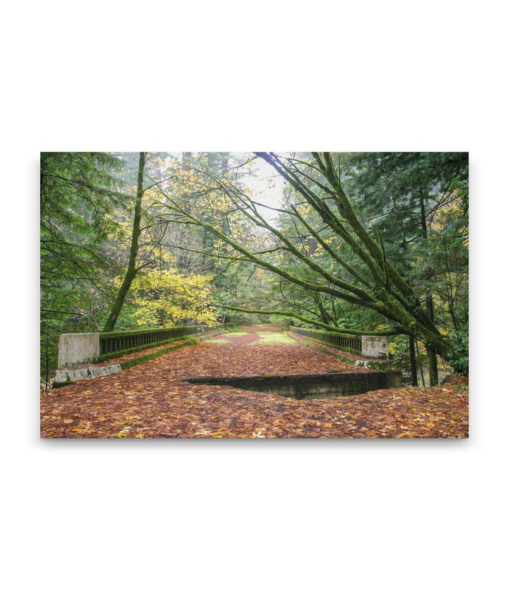 Robert H Madsen Memorial Bridge, Humboldt Redwoods State Park, California, USA