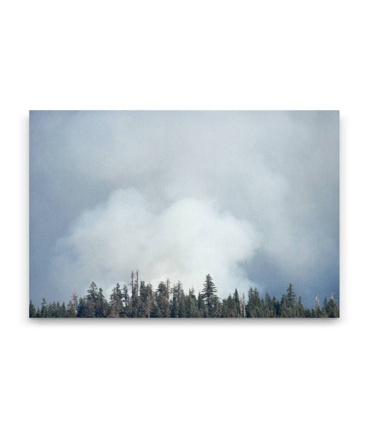 Wildfire Smoke Column, Willamette National Forest, Oregon