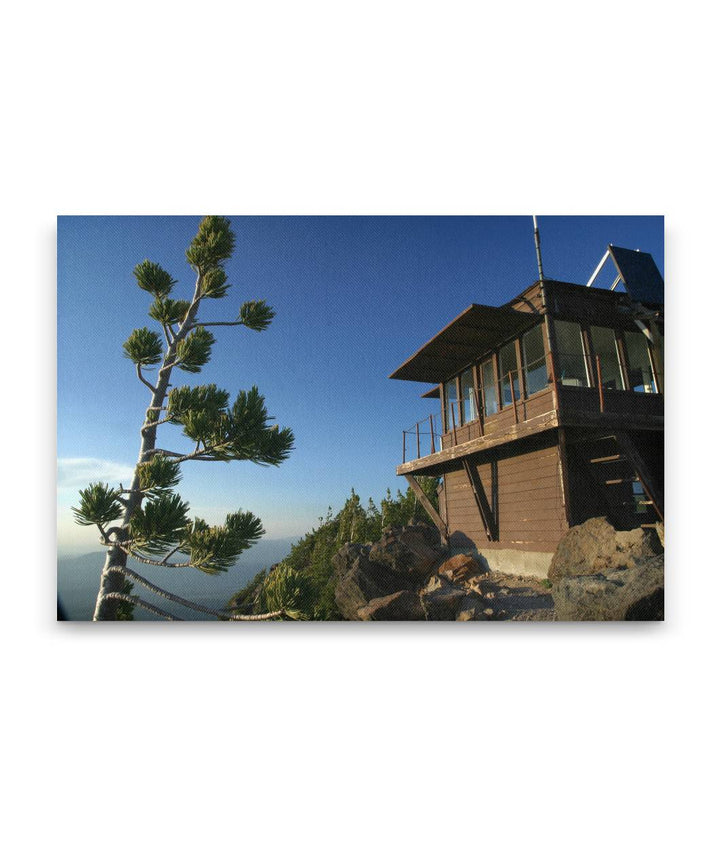 Mount Scott fire lookout and Whitebark pine, Crater Lake National Park, Oregon