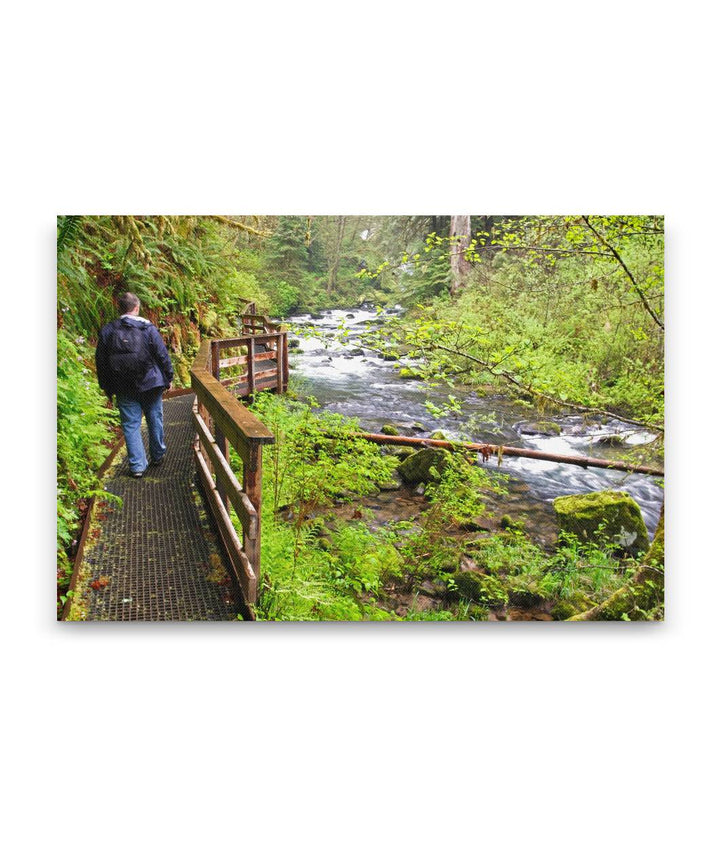 Sweet Creek Trail and Hiker, Oregon Coast Range, Oregon