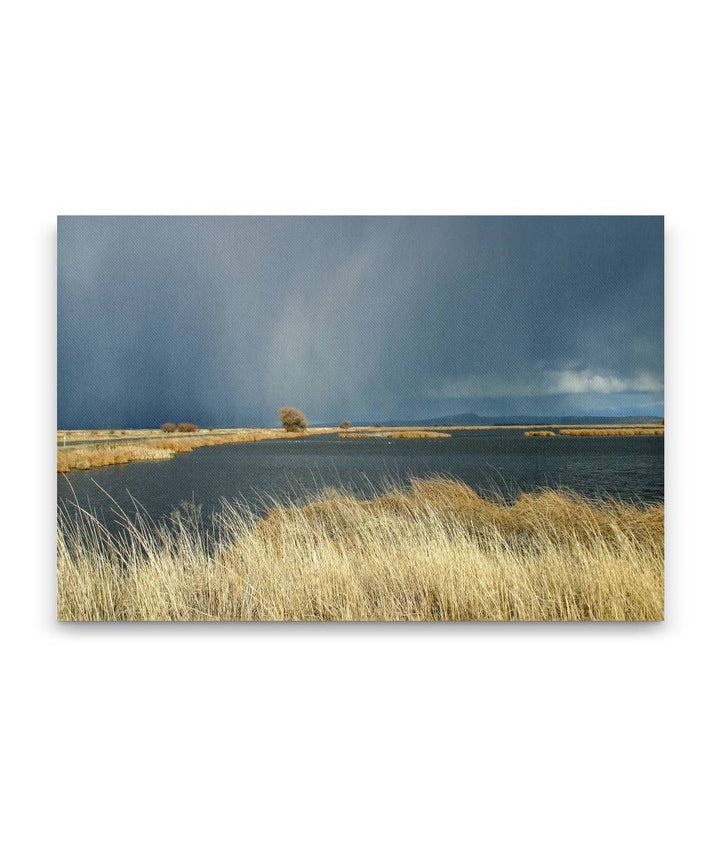 Thunderstorm Over Wetland, Lower Klamath National Wildlife Refuge, California, USA