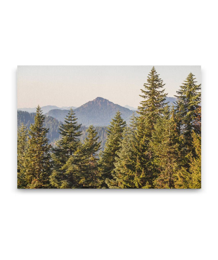 Iron Mountain, Willamette National Forest, Oregon