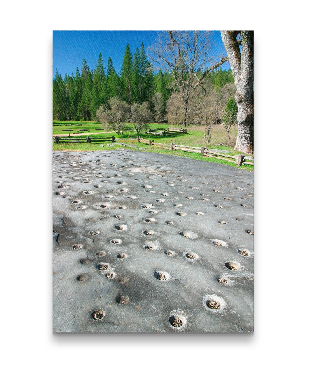 Bedrock Mortars, Indian Grinding Rock State Historic Park, California