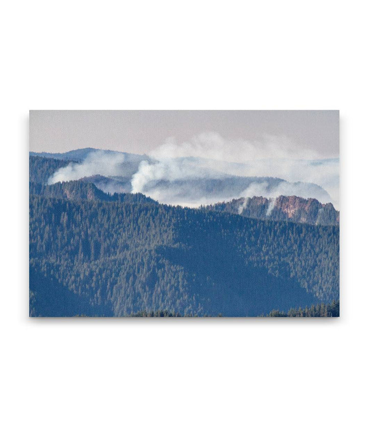 Terwilliger Wildfire, Willamette National Forest, Oregon, USA