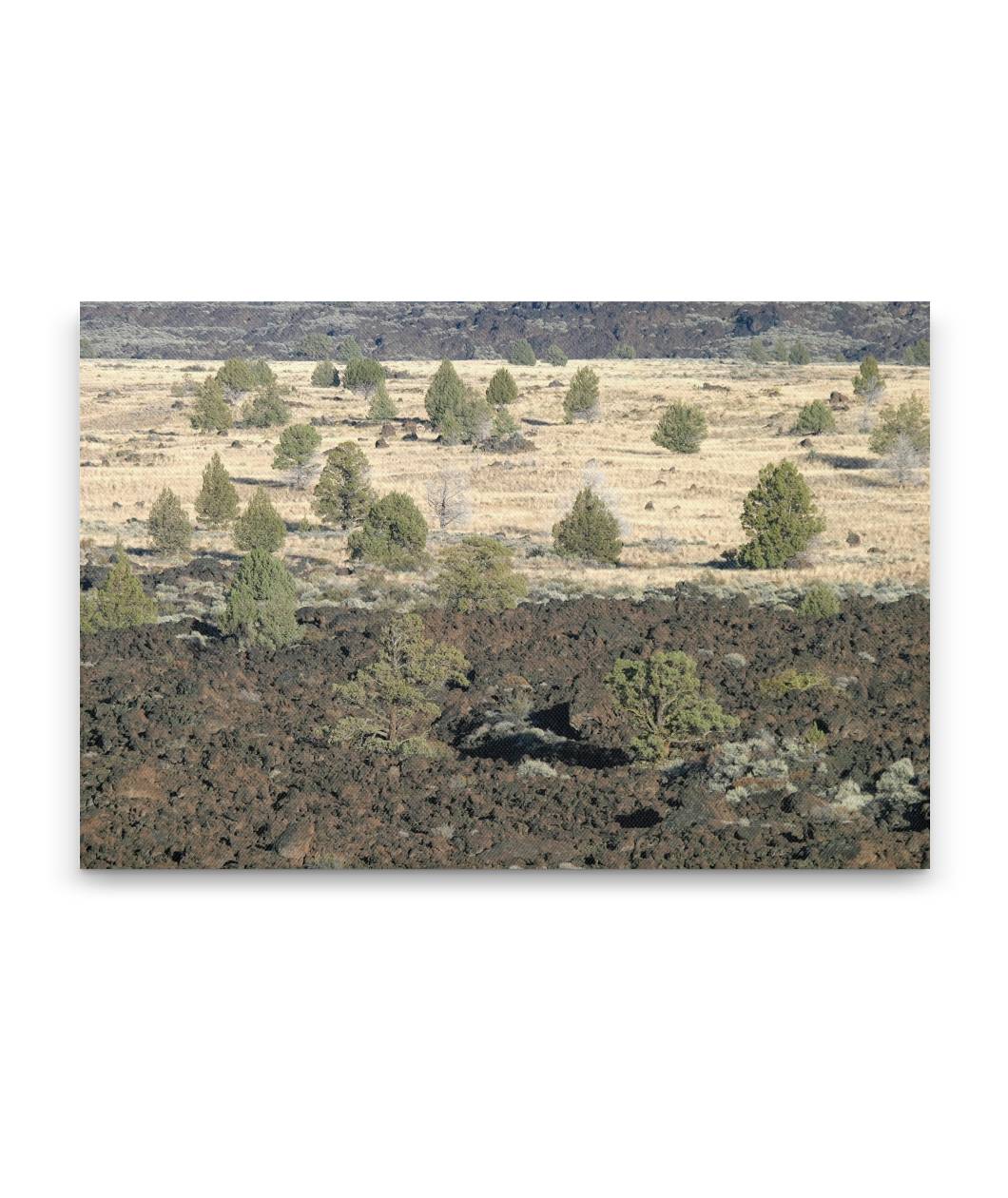 Western juniper savanna and lava flow, Lava Beds National Monument, California