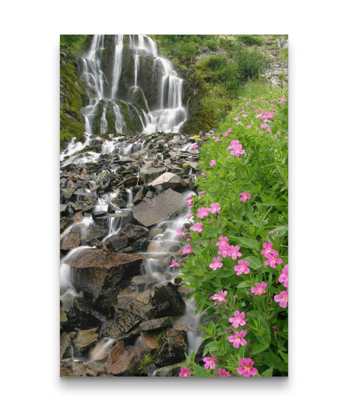 Vidae Falls and Pink Monkeyflowers, Crater Lake National Park, Oregon