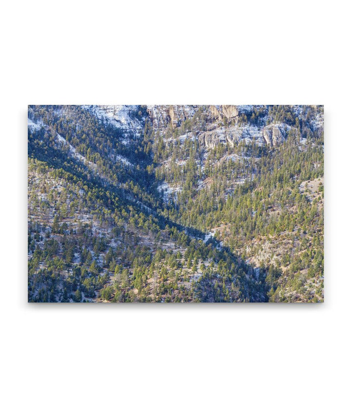 Mountain Forest Drainage, Yellowstone National Park, Montana