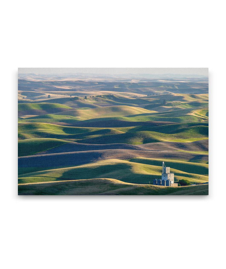 Palouse Hills, Steptoe Butte State Park, Washington