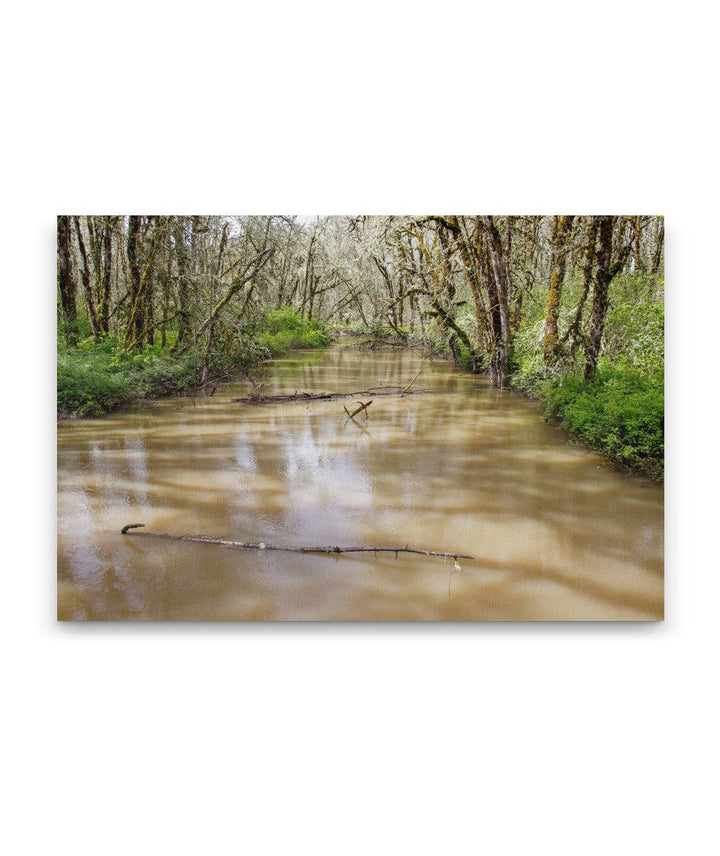 Muddy Creek, William L. Finley National Wildlife Refuge, Oregon