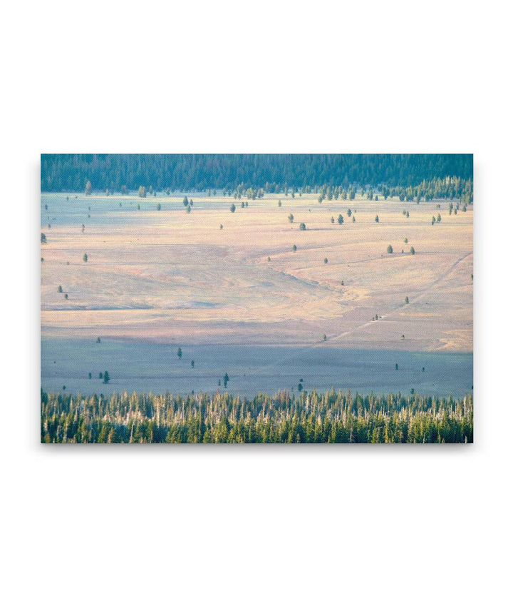 Pumice Desert, Crater Lake National Park, Oregon, USA