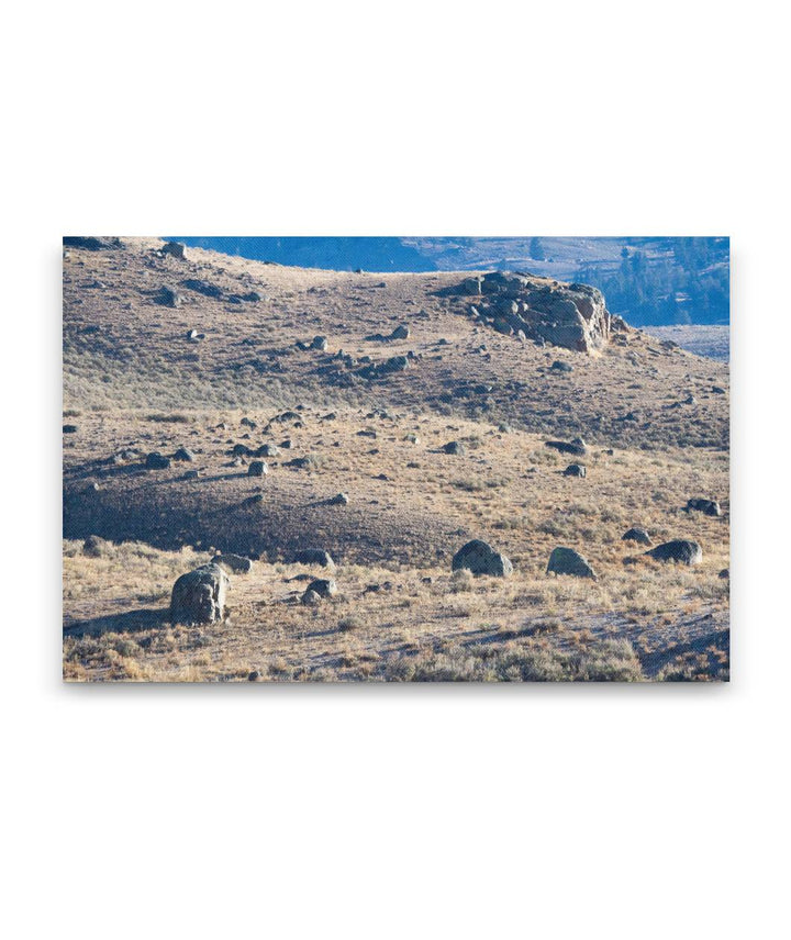 Glacial Erratic Boulders, Lamar Valley, Yellowstone National Park, Wyoming, USA