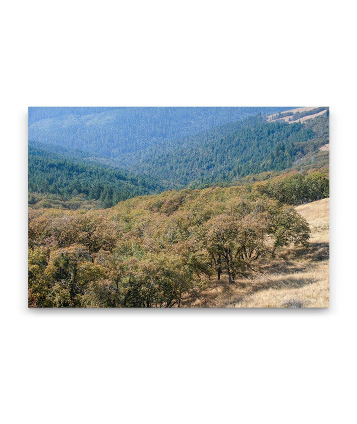 Oregon White Oak Woodland and Coastal Redwood Forest, Redwood National Park, California